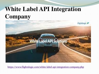 White Label API Integration Company