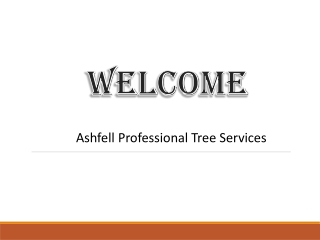 Top Service for Hedge Cutting in West Reading