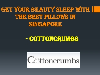 Best Pillows In Singapore - Cottoncrumbs