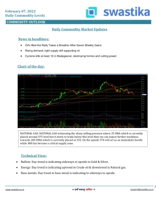 Commodity daily levels (07-Feb.)