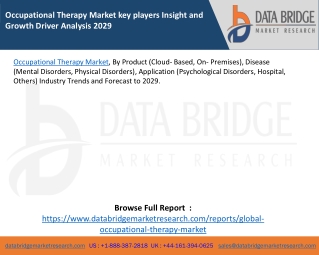 Occupational Therapy Market key players Insight and Growth Driver Analysis 2029