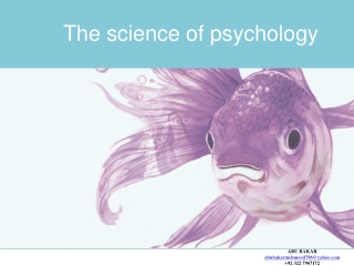 Intro to Psychology