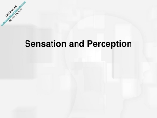Sensation and Perception