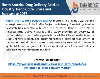 North America Drug Delivery Market 2020 Is Rapidly Increasing Worldwide