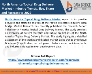 North America Topical Drug Delivery Market to Reflect Steady Growth Rate by 2022