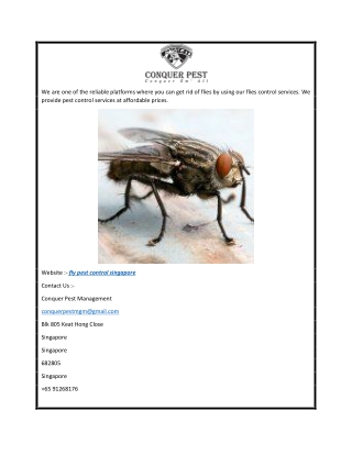 Fly Pest Control Singapore  Conquer Pest