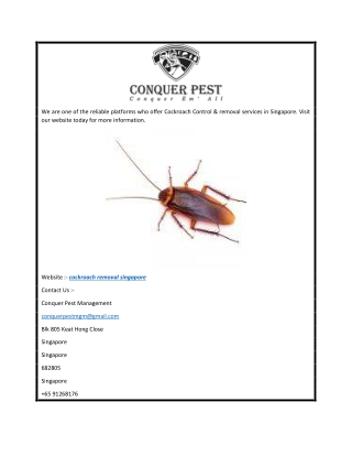 Cockroach Removal Singapore  Conquer Pest