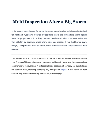 Mold Inspection After a Big Storm