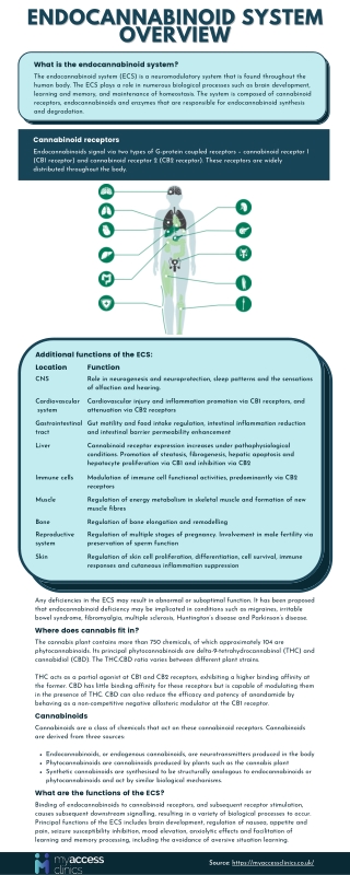 Endocannabinoid System - Overview