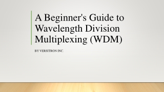 A Beginner's Guide to Wavelength Division Multiplexing (WDM)