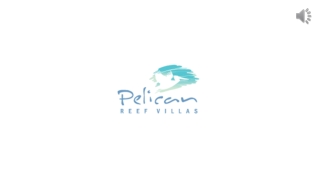 Belize's Greatest Luxury Resort, The Pelican Reef Villas Resort