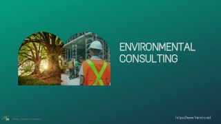 Services of the best Florida environmental consulting firm