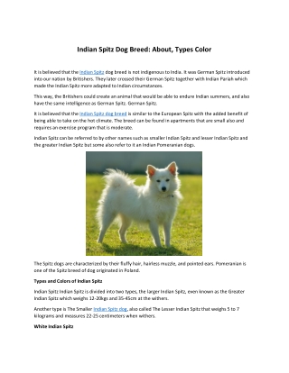 Indian Spitz Dog Breed About, Types Color