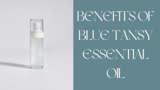 BENEFITS OF BLUE TANSY ESSENTIAL OIL