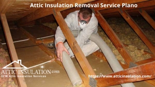 Attic Insulation Removal Service Plano