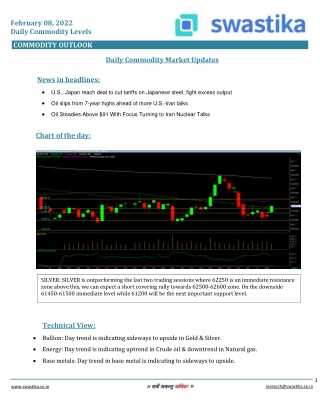 Commodity daily levels (08-Feb.)