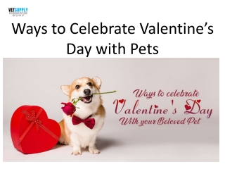 Ways to Celebrate Valentine’s Day with Pets | VetSupply