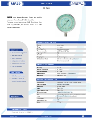 MP29 Test Gauge - SS Case | MIEPL