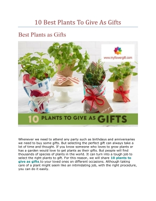 10 Best Plants To Give As Gifts