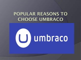 Popular Reasons to Choose Umbraco