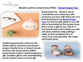 Breast Plush Organ Toys - Breast Plushie & Human Body Organs Plush Toy - Nerdbugs Plush Toy Organs