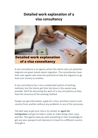 Detailed work explanation of a visa consultancy