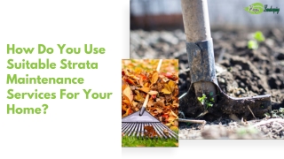 How Do You Use Suitable Strata Maintenance Services For Your Home?