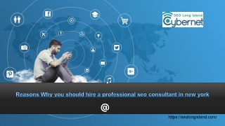 Reasons Why you should hire a professional seo consultant in new york