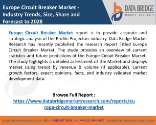 Europe Circuit Breaker Market Overview, Demand, Size, Growth & Forecast 2028