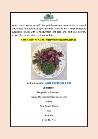 Send A Plant As A Gift | Happylittlesucculents.com.au