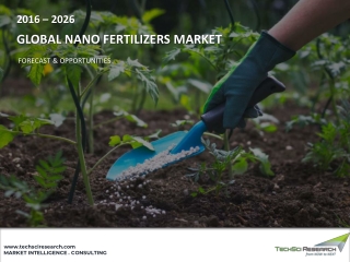 Global Nano Fertilizers Market 2027