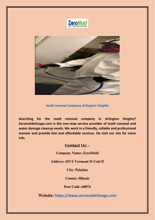 Mold Removal Company Arlington Heights | Zeromoldchicago.com