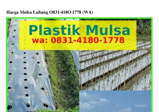 Harga Mulsa Lubang 08౩1·Կ180·1778(whatsApp)