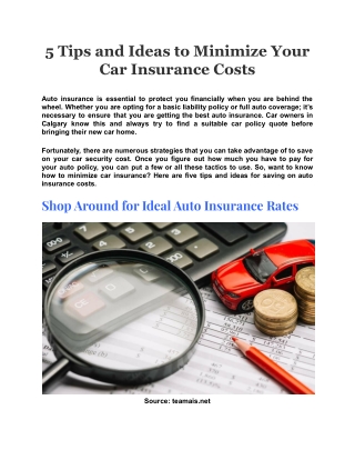 5 Tips and Ideas to Minimize Your Car Insurance Costs