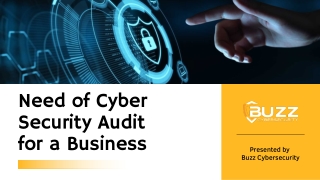 Need of Security Audit for a Business