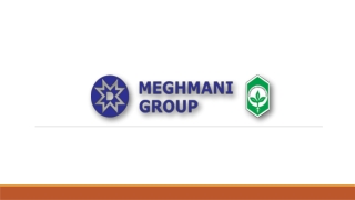 Meghmani Global