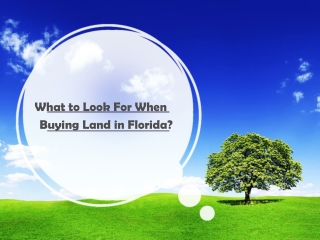 What to Look For When Buying Land in Florida?