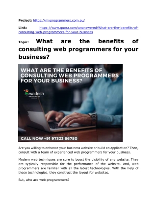 What are the benefits of consulting web programmers for your business?