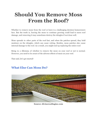 Should You Remove Moss From the Roof_