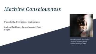 Machine Consciousness