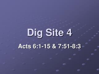 Dig Site 4