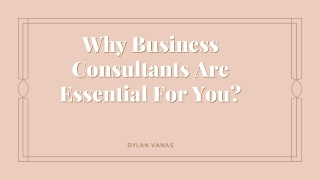 Why Business Consultants Are Essential For You