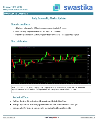 Commodity daily levels (09-Feb.)