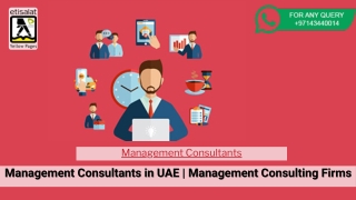 Management Consultants 291