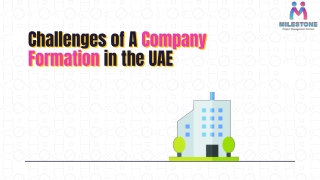 Challenges of A Company Formation in the UAE