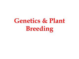 Genetics &amp; Plant Breeding