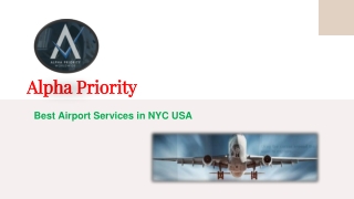 VIP Airport Concierge Services | Alpha Priority Agent USA