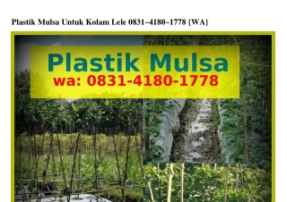 Plastik Mulsa Untuk Kolam Lele ౦8ЗI-ԿI8౦-Iᜪᜪ8(whatsApp)