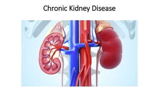 Ayurvedic Treatment for Chronic Kidney Disease
