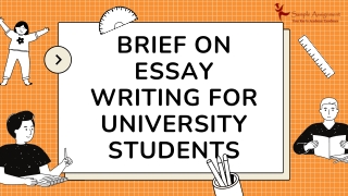 Brief on Essay writing for University Students by Expert